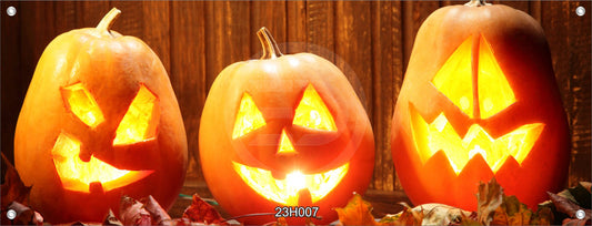 Wandbild Poster Banner Indoor/Outdoor 60x160 cm  Kürbis Kürbislaternen Herbst