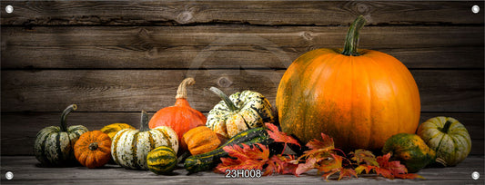 Wandbild Poster Banner Indoor/Outdoor 60x160 cm Kürbisse Herbstlaub Herbst