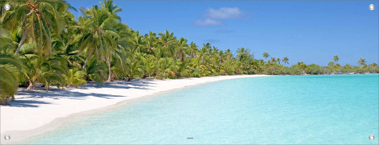 MEER WANDBILDER POSTER DEKO BILDER XXL 160x60 PALMEN STRAND NATUR