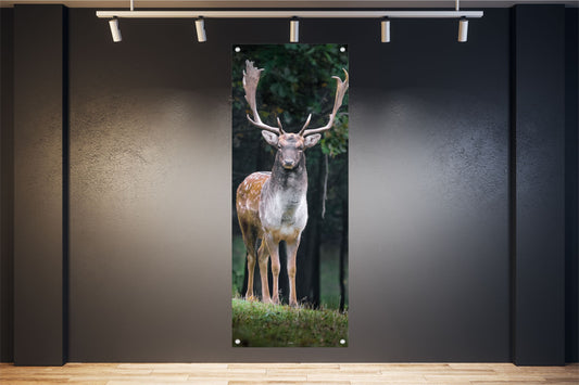 Deko Bild Poster Kunstdruck Wandbild XXL 160x60 cm Hirsch Wald Natur