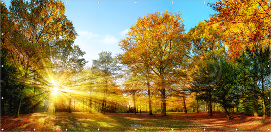 Outdoor Bild Banner Garten Zaun Sichtschutz 370x180 cm Herbst Landschaft Sonne