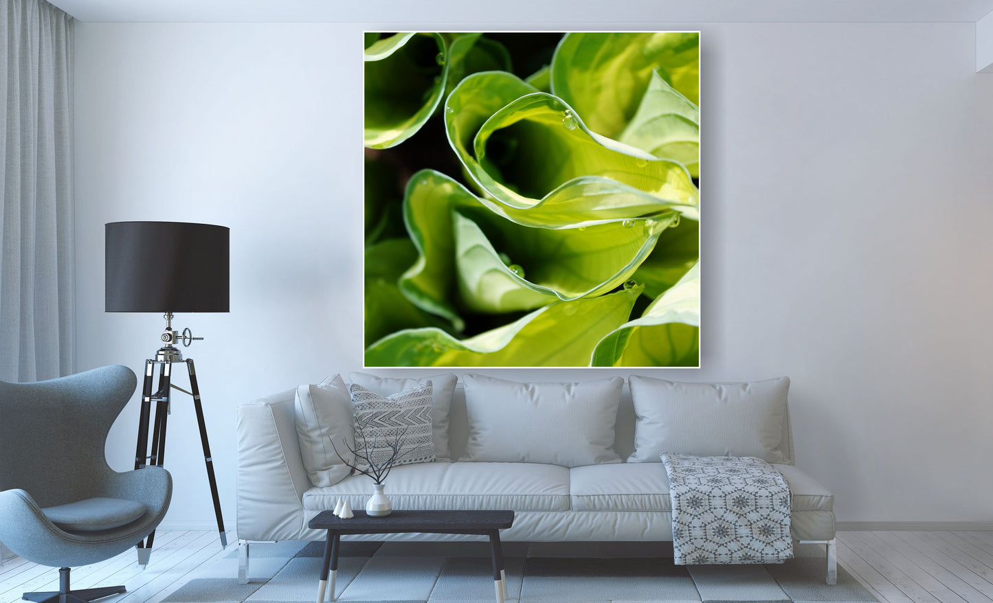 WANDBILDER ALURAHMEN NATUR BILDER WOHNZIMMER 150x150 BLÄTTER PFLANZE