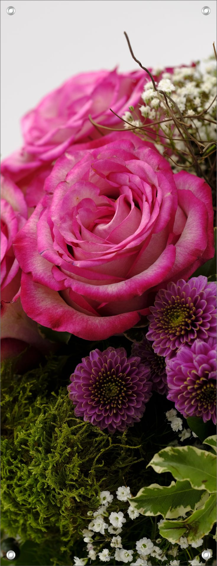 BLUMEN WANDBILDER POSTER DEKO BILDER XXL 60x160 ROSEN BLÜTEN PINK
