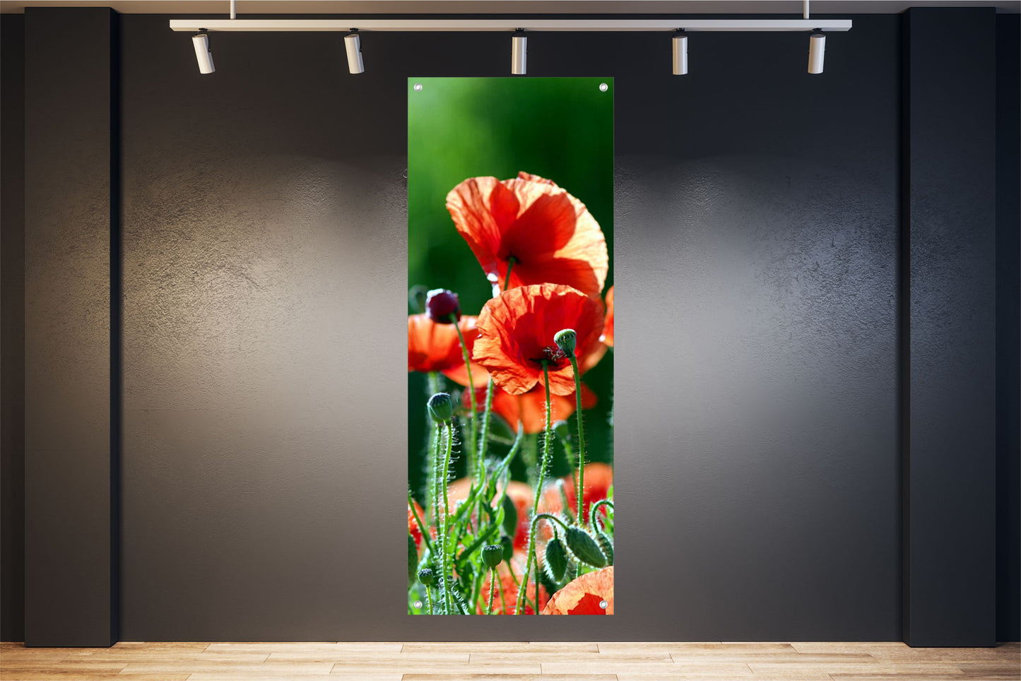 BLUMEN WANDBILDER POSTER DEKO BILDER XXL 60x160 MOHNBLUMEN NATUR