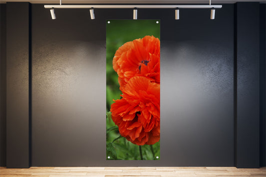 BLUMEN WANDBILDER POSTER DEKO BILD GROSS INNNEN AUSSEN MOHNBLUMEN BLÜTEN