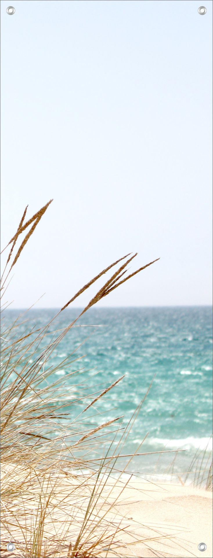 MEER WANDBILDER POSTER DEKO BILDER XXL 60x160 NATUR STRAND GRÄSER