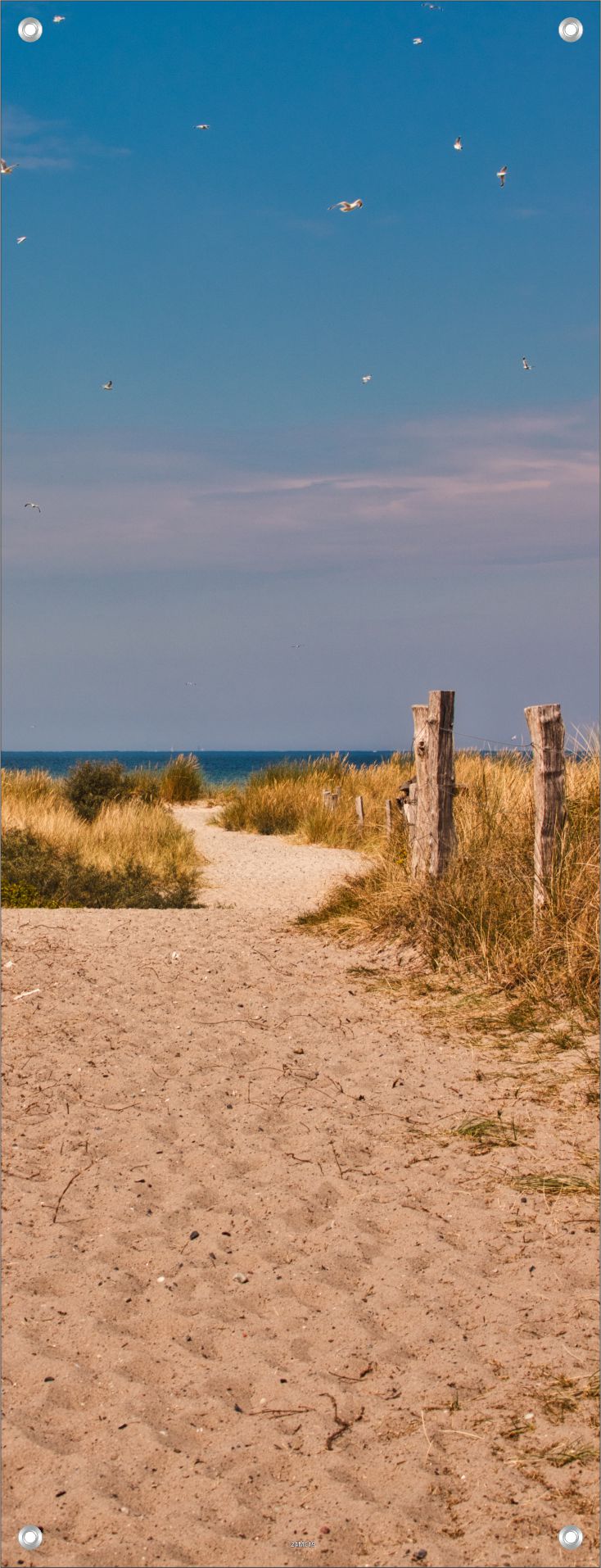 MEER WANDBILDER POSTER DEKO BILDER XXL 60x160 LANDSCHAFT NATUR