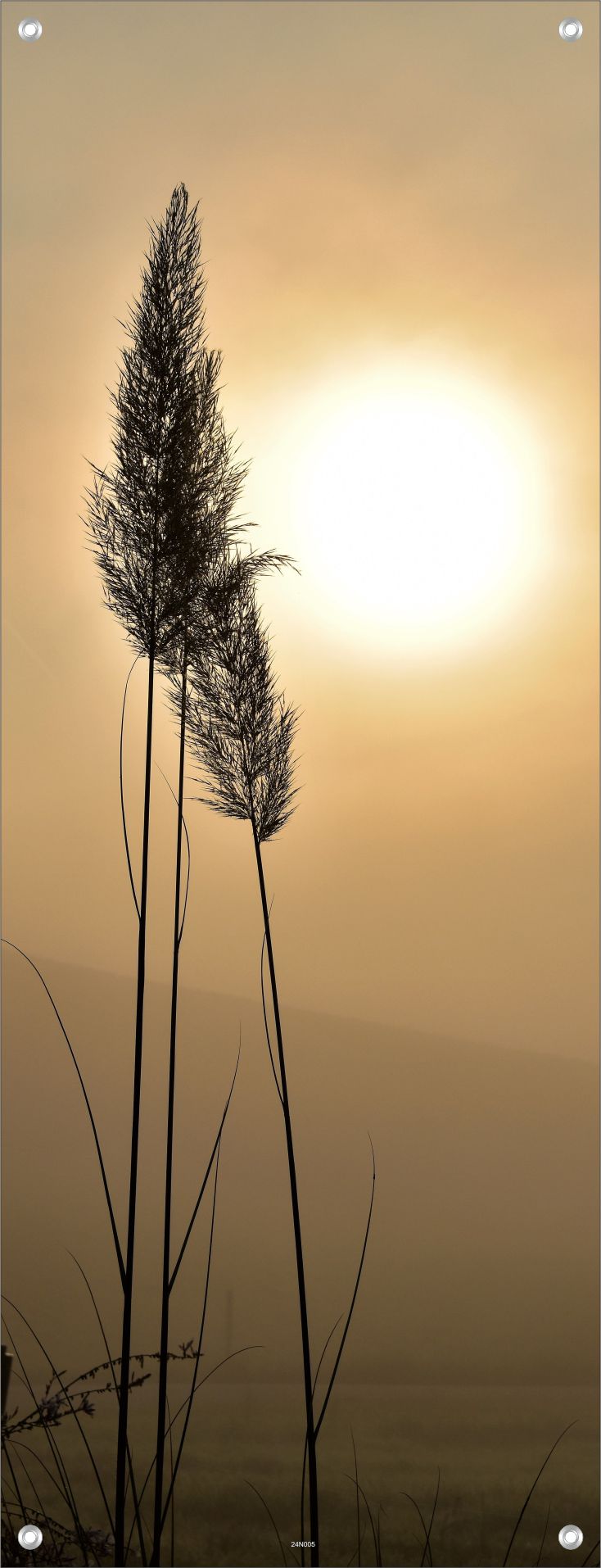 NATUR WANDBILDER POSTER DEKO BILDER XXL 60x160 LANDSCHAFT PAMPGRAS SONNE
