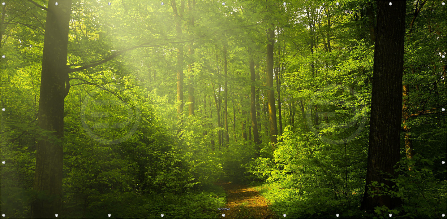 Outdoor Bild Banner Außen Gartenposter wetterfest 370x180 cm Wald Landschaft