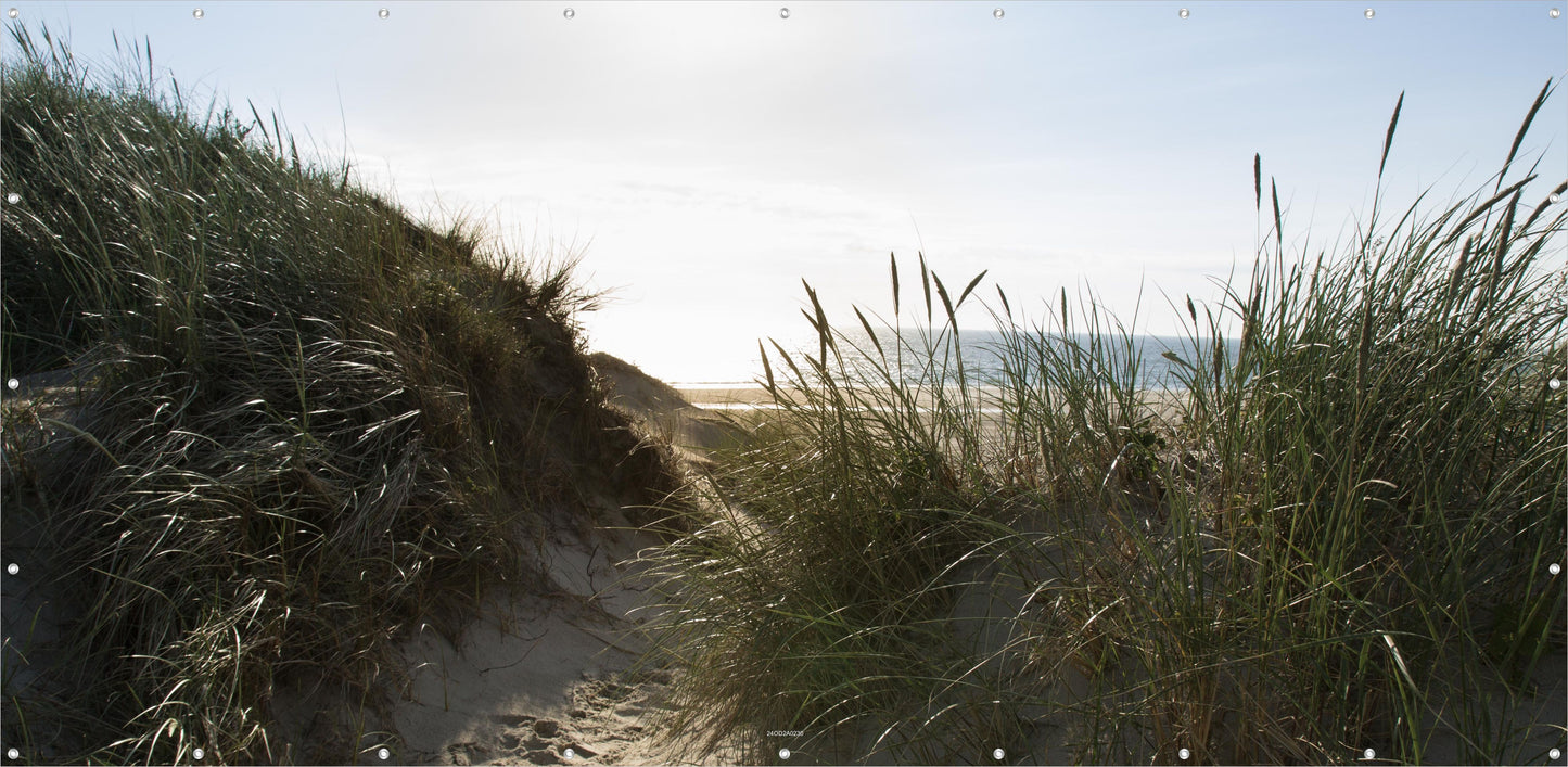 Outdoor Bild Banner Außen Gartenposter wetterfest 370x180 Landschaft Meer Gräser