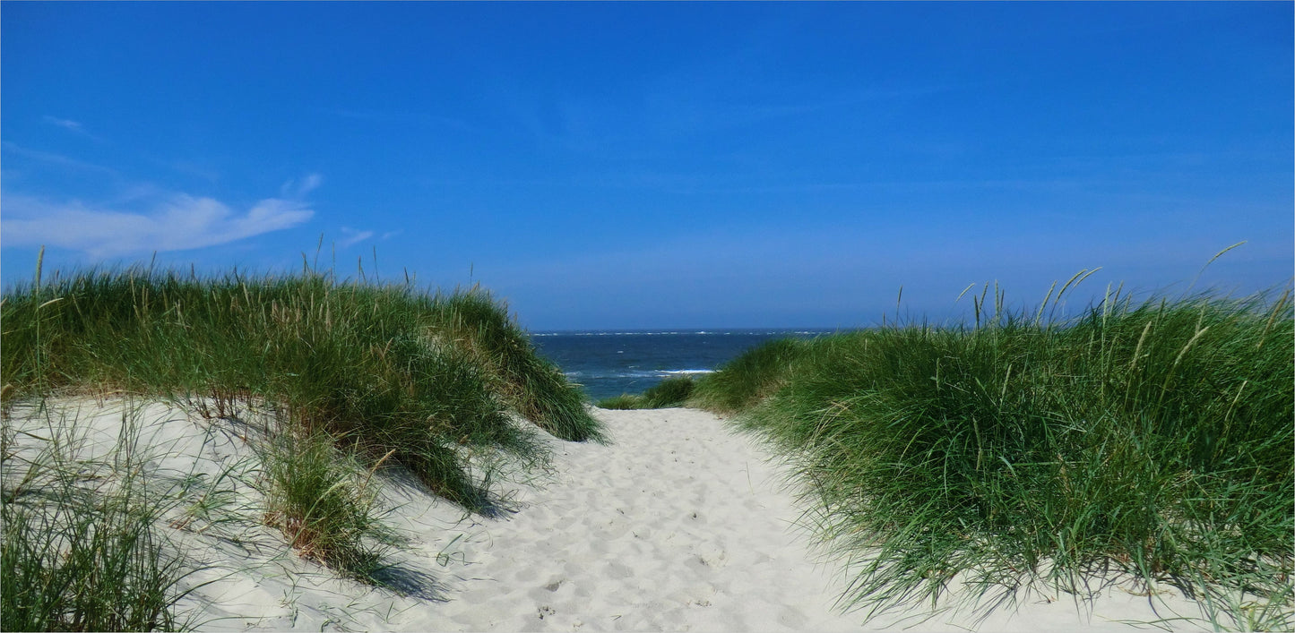 Outdoor Bild Banner Außen Gartenposter wetterfest 370x180 Meer Gras Strand