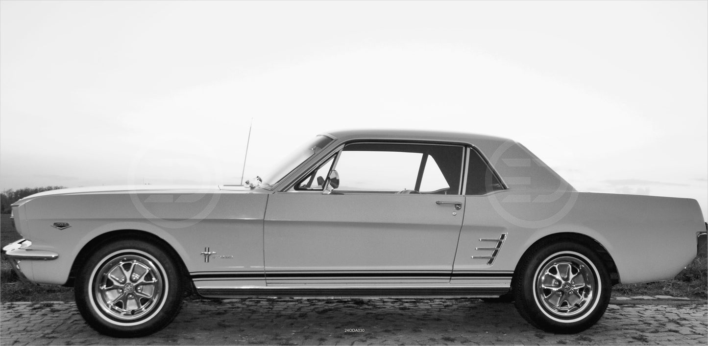 OUTDOOR BILD BANNER GARTENPOSTER WETTERFEST 370x180 AUTO OLDTIMER MUSTANG S/W