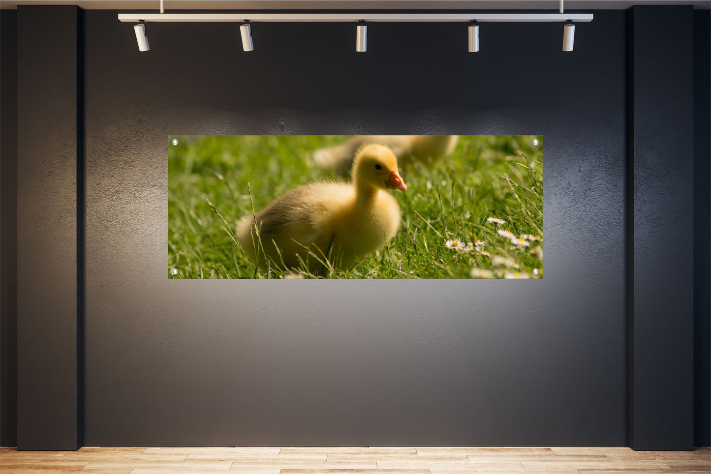 TIER WANDBILDER POSTER DEKO BILDER XXL 160x60 KÜKEN WIESE NATUR