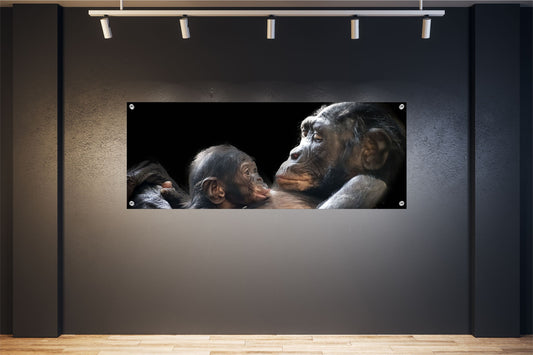 TIER WANDBILDER POSTER DEKO BILDER XXL 160x60 AFFEN SCHIMPANSEN