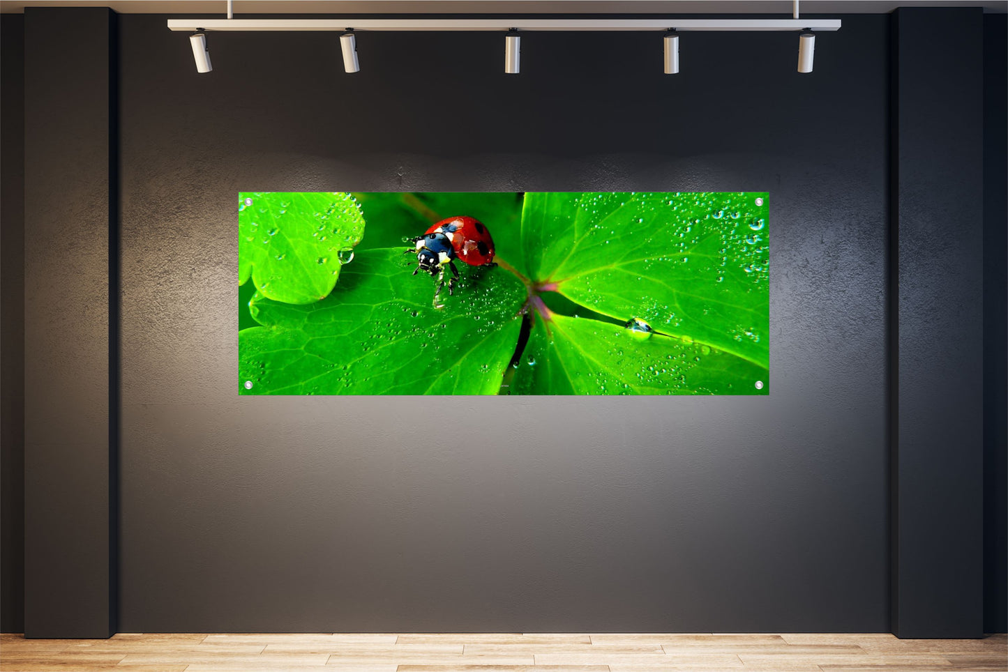 TIER WANDBILDER POSTER DEKO BILDER XXL 160x60 MARIENKÄFER KLEEBLATT