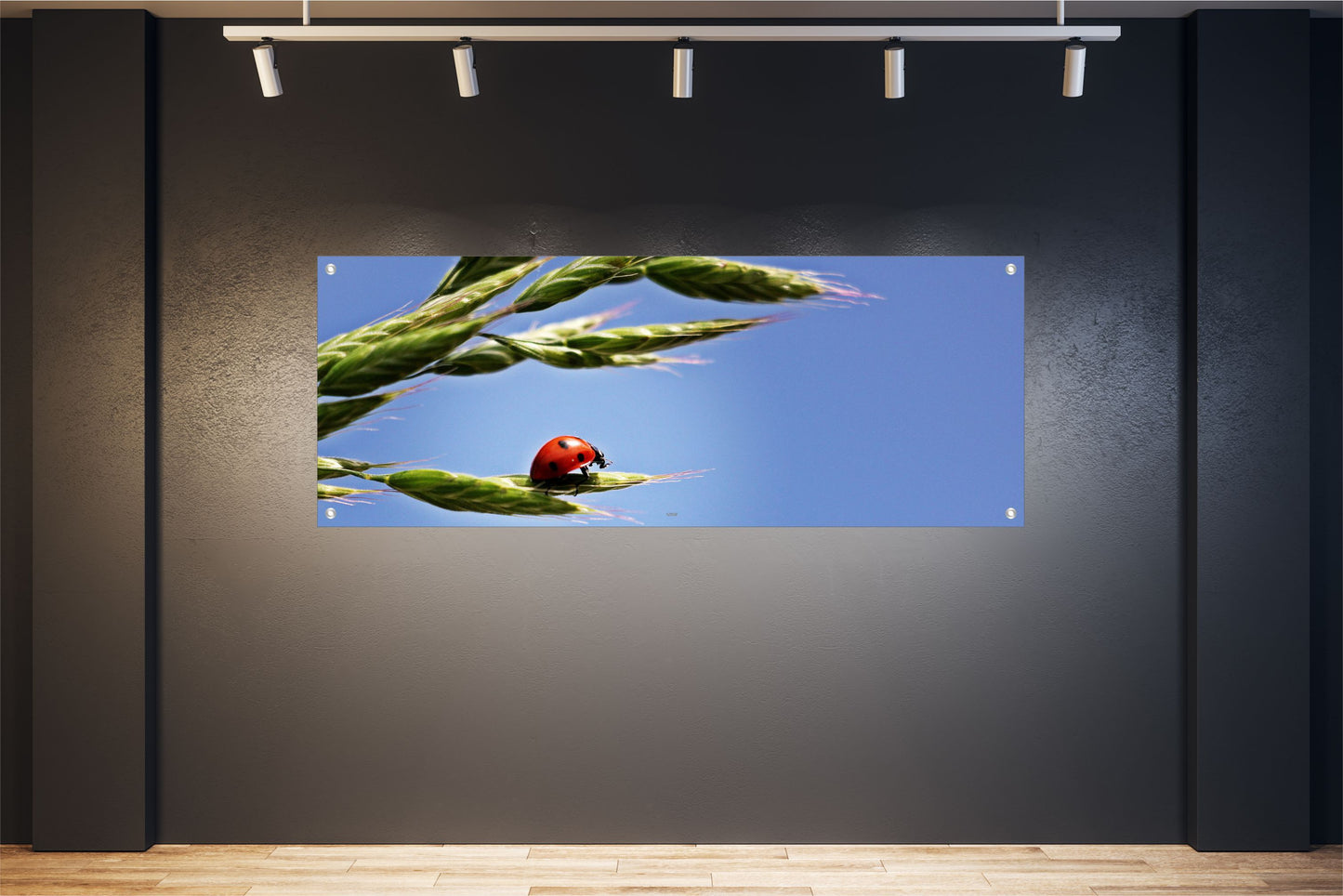 TIER WANDBILDER POSTER DEKO BILDER XXL 160x60 MARIEKÄFER PFLANZE NATUR