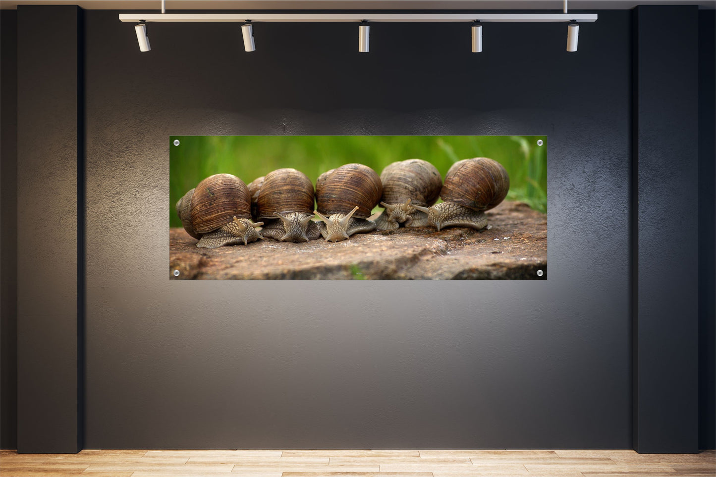 TIER WANDBILDER POSTER DEKO BILDER XXL 160x60 SCHNECKEN BAUMSTAMM NATUR