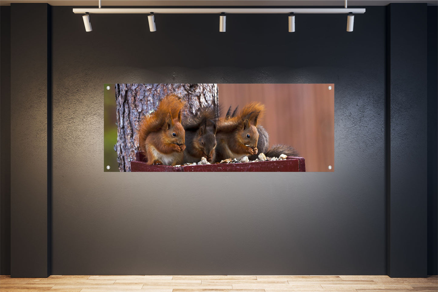 TIER WANDBILDER POSTER DEKO BILDER GROSS INNEN AUSSEN EICHHÖRNCHEN NAGER NATUR