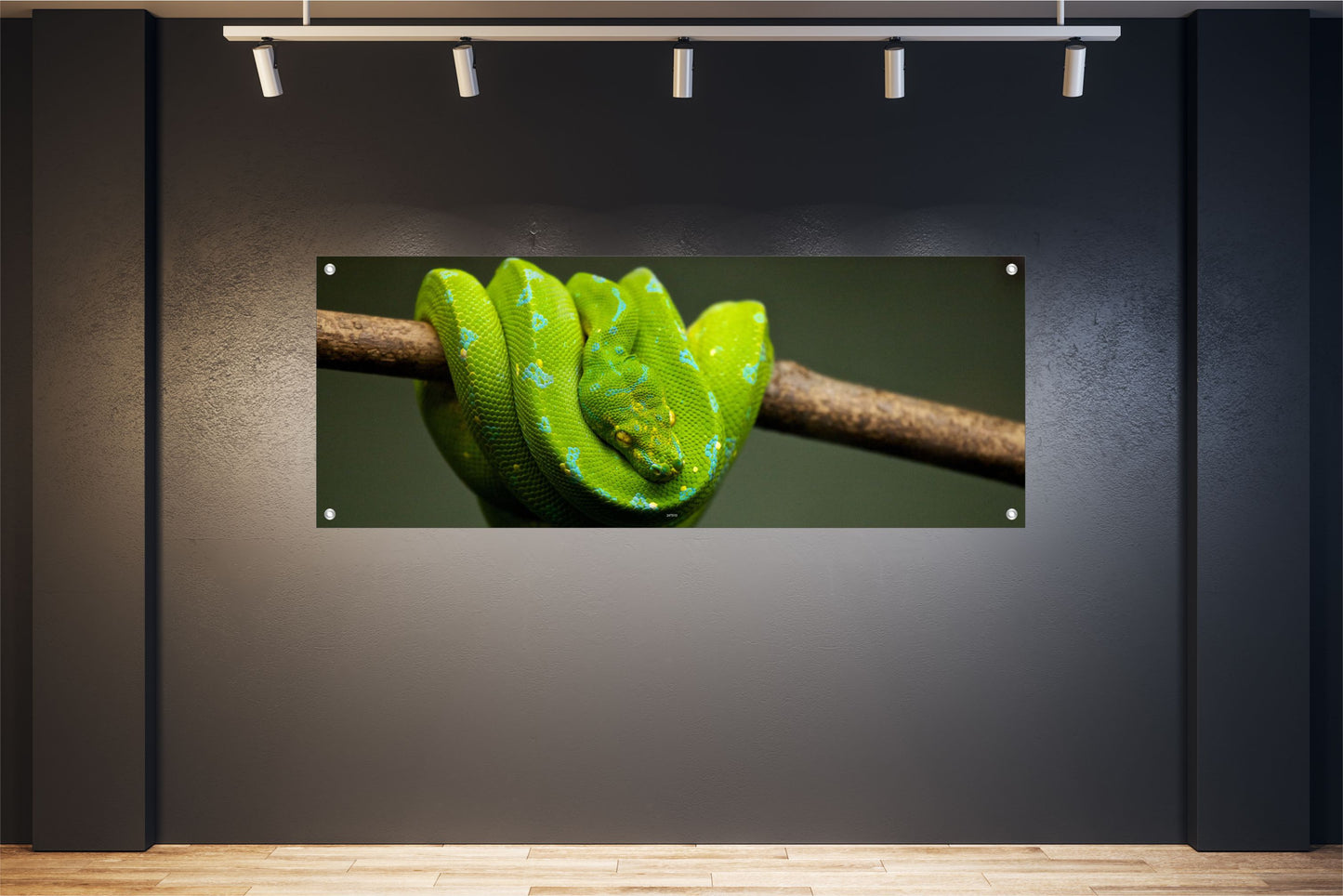 TIER WANDBILDER POSTER DEKO BILDER GROSS INNEN AUSSEN SCHLANGE NATTER GRÜN