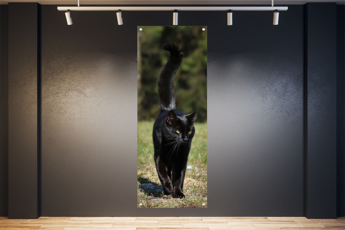 TIER WANDBILDER POSTER DEKO BILDER XXL 60x160 SCHWARZE KATZE NATUR