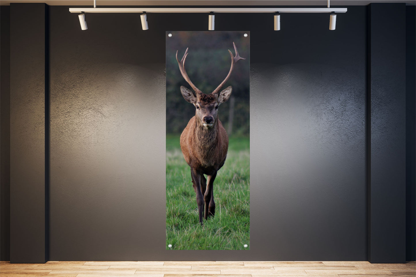 TIER WANDBILDER POSTER DEKO BILDER XXL 60x160 HIRSCH WALD NATUR
