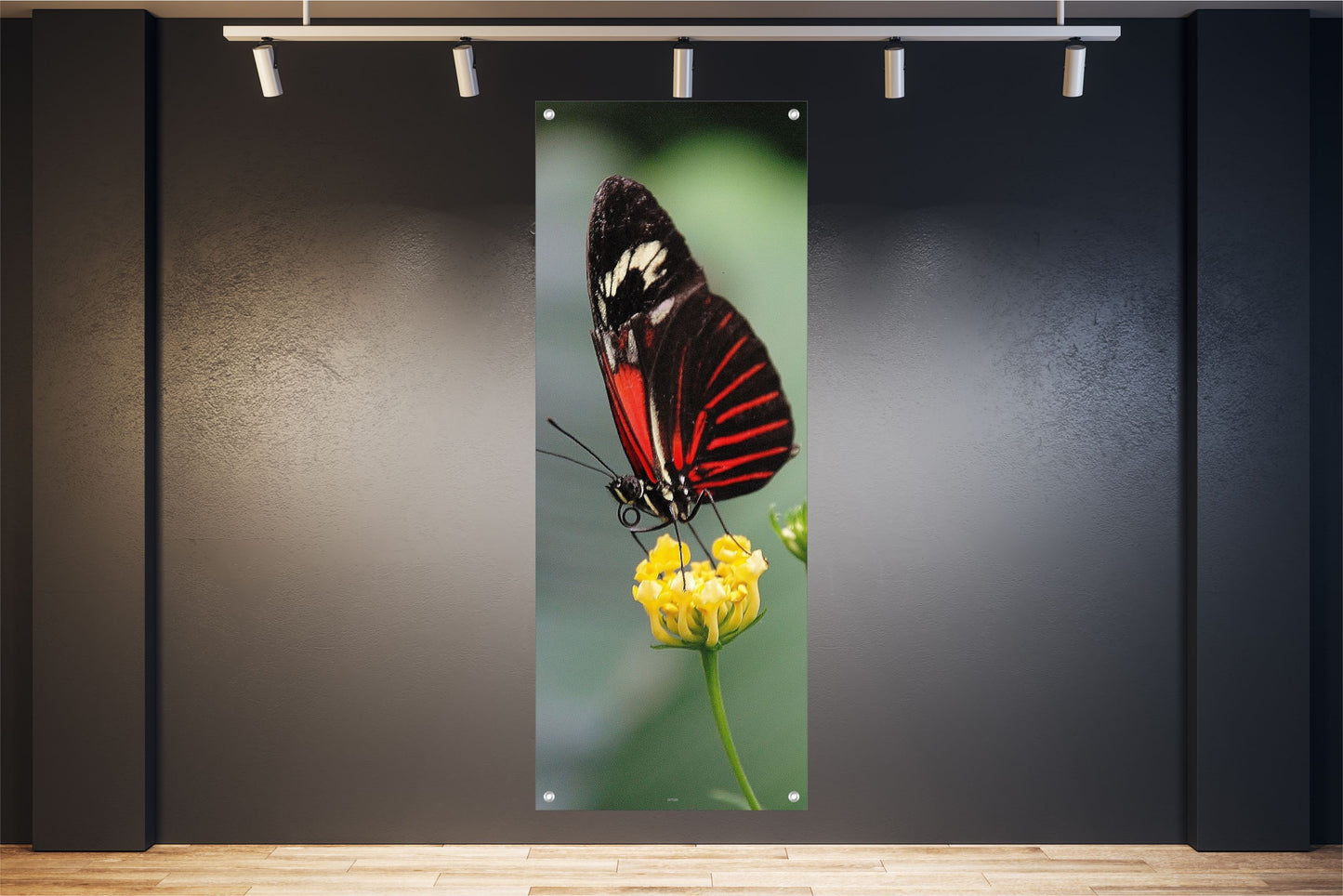 TIER WANDBILDER POSTER DEKO BILDER XXL 60x160 SCHMETTERLING NATUR BLÜTE