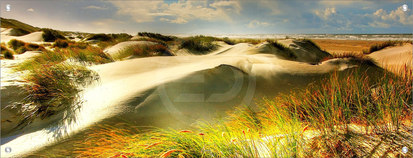 MEER WANDBILD POSTER DEKO BILDER XXL 160x60 NATUR DÜNEN GRÄSER STRAND