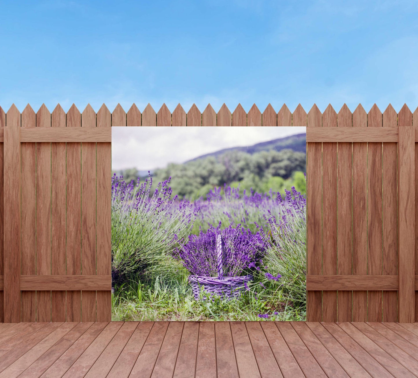 Outdoor Bild Banner Außen Gartenposter Wetterfest 180x180 Lavendel Feld Natur