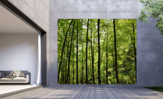 Outdoor Bild Banner Außen Gartenposter wetterfest XXL 300x250 Bäume Natur Wald