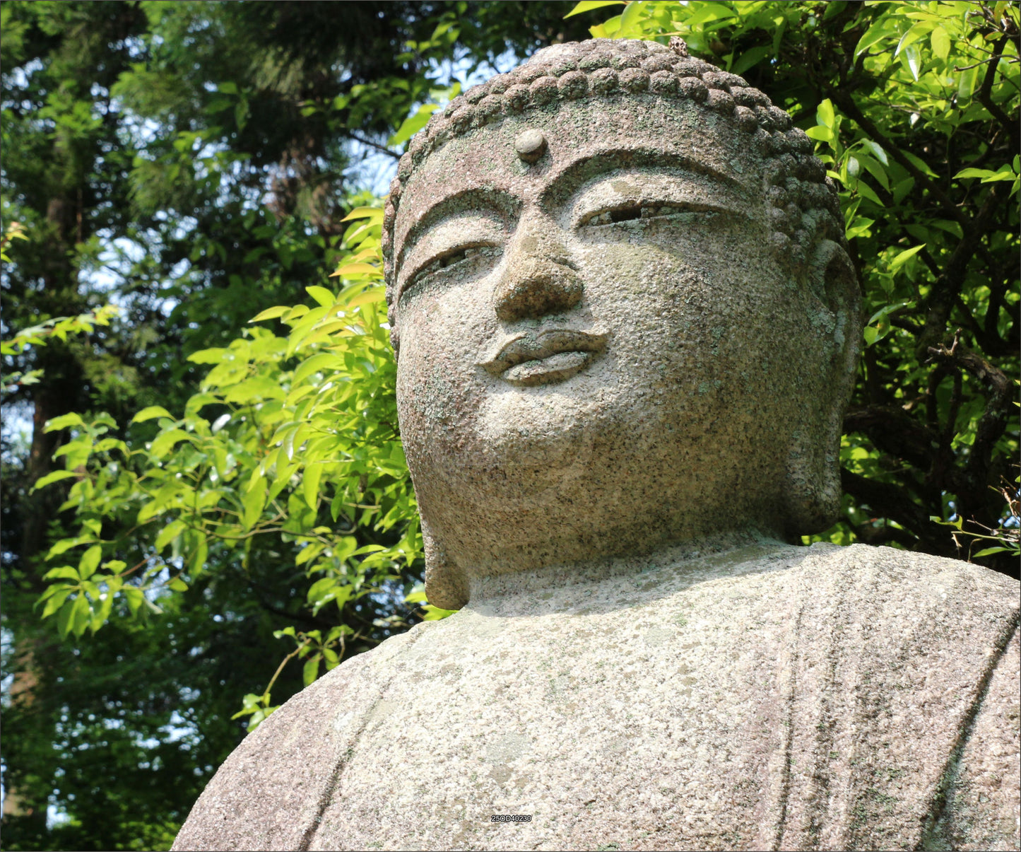Outdoor Bild Banner Außen Gartenposter wetterfest XXL 300x250 Buddha Stein Natur