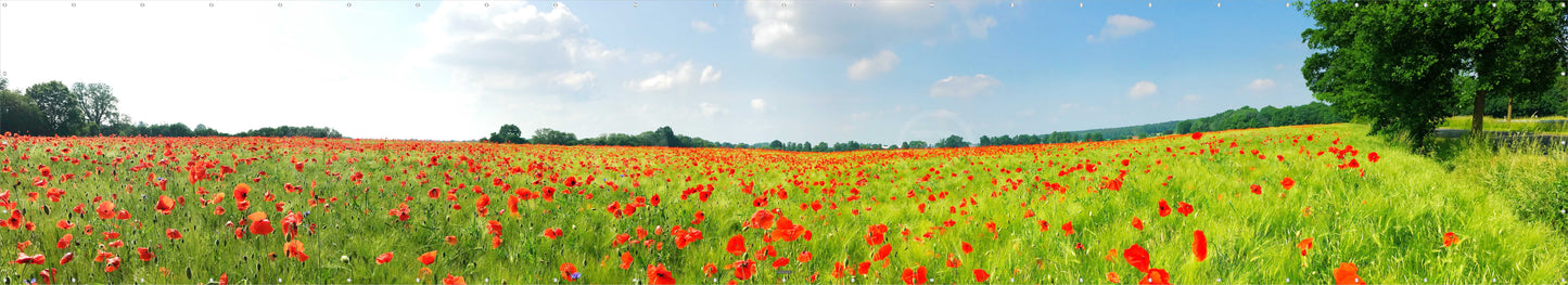 OUTDOOR BANNER GARTENPOSTER WETTERFEST XXL 1000x180 NATUR BLUMENWIESE