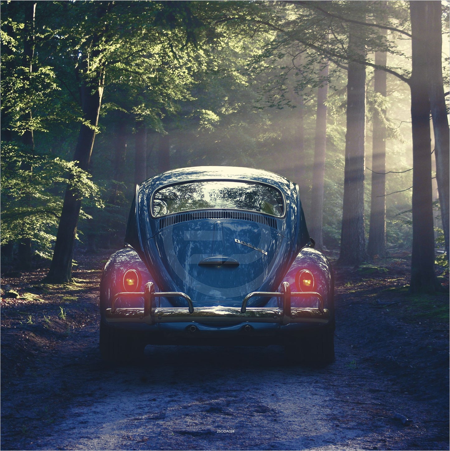 OUTDOOR BILD BANNER GARTENPOSTER AUSSEN WETTERFEST 180x180 AUTO VW KÄFER HECK