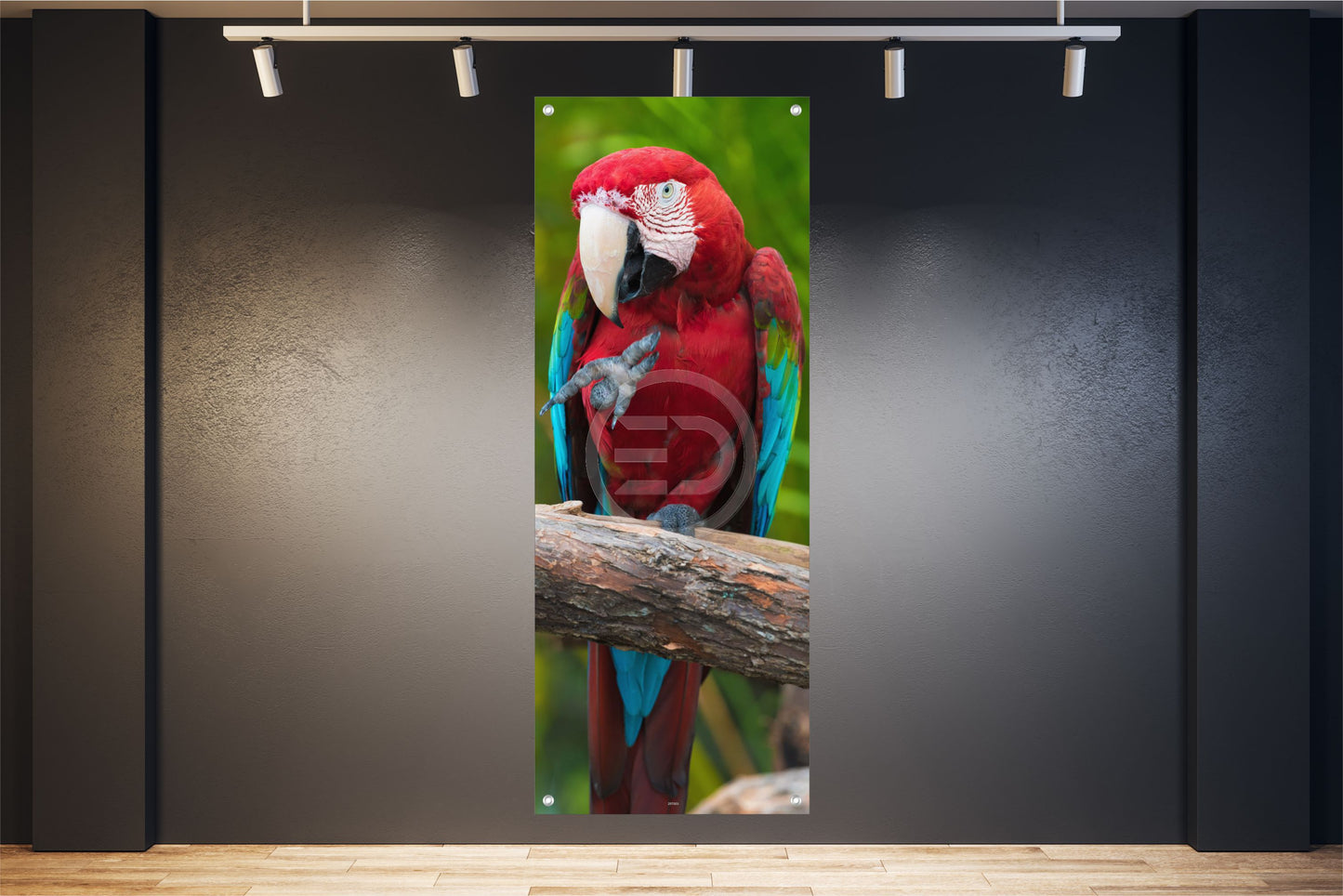 TIER WANDBILDER POSTER DEKO BILDER XXL 60x160 VOGEL PAPAGEI ARA BUNT
