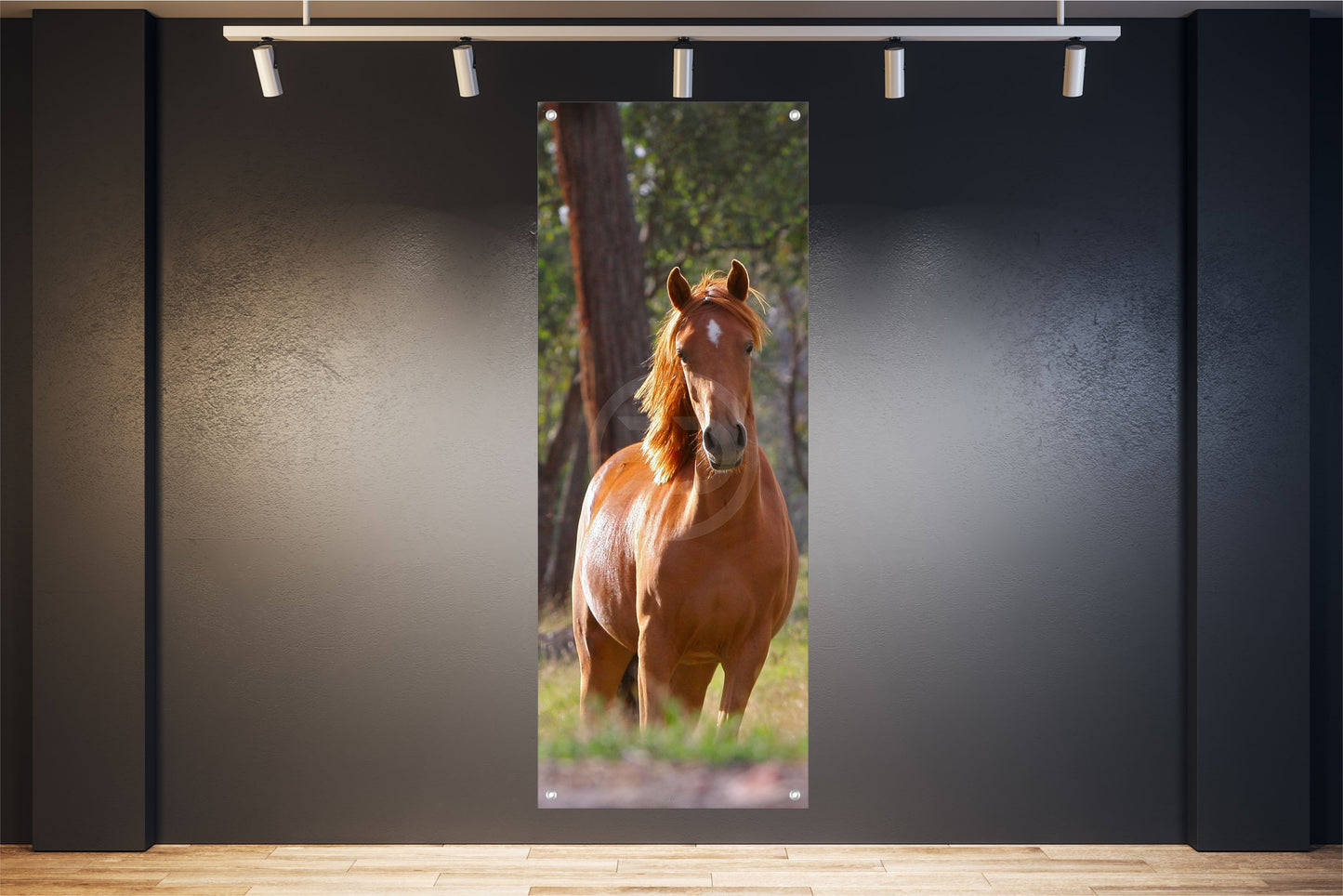 TIER WANDBILDER POSTER DEKO BILDER XXL 60x160 PFERD NATUR WIESE