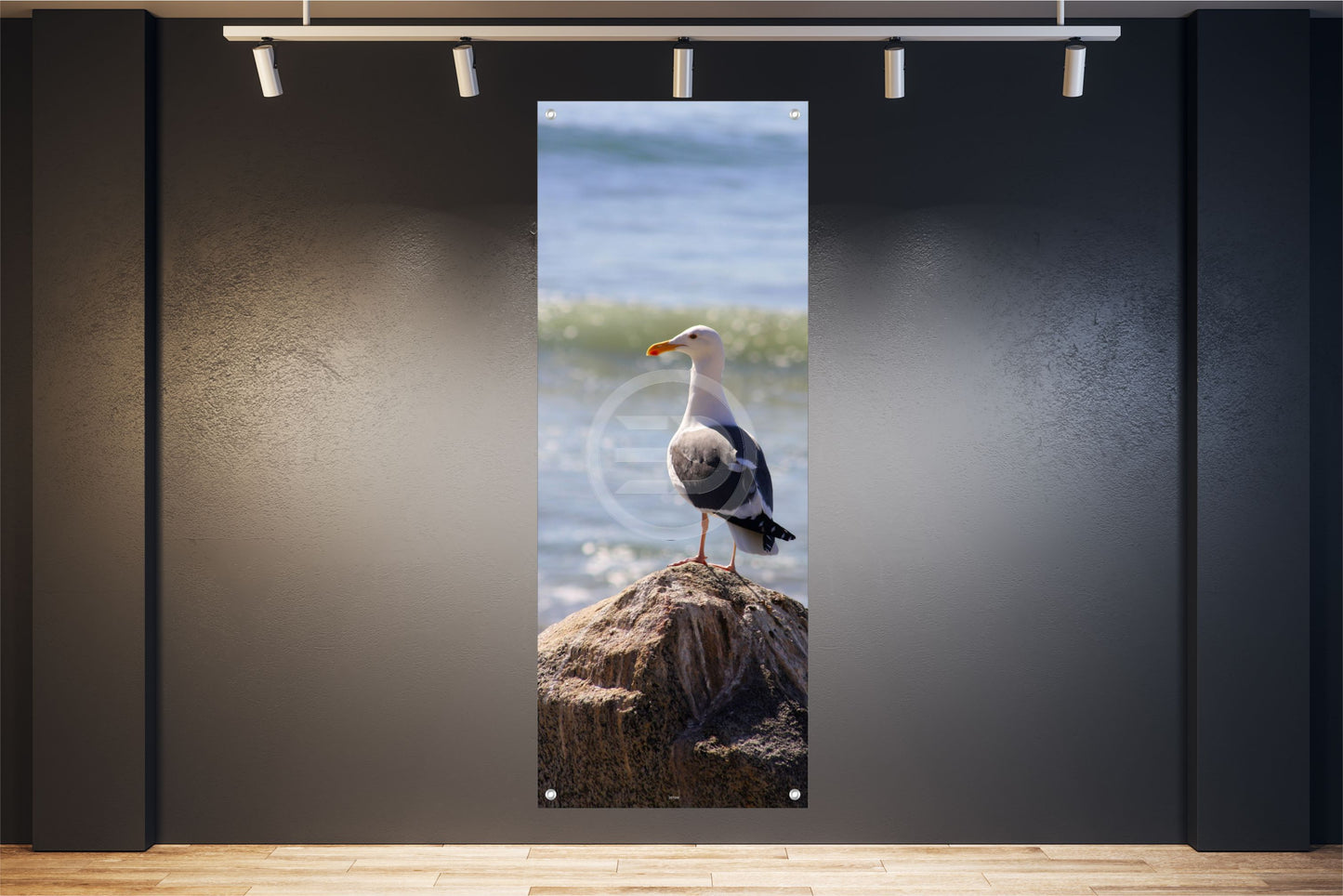 WANDBILD POSTER BILDER XXL 60x160 TIER MÖWE MEER NATUR FELSEN INNEN AUSSEN