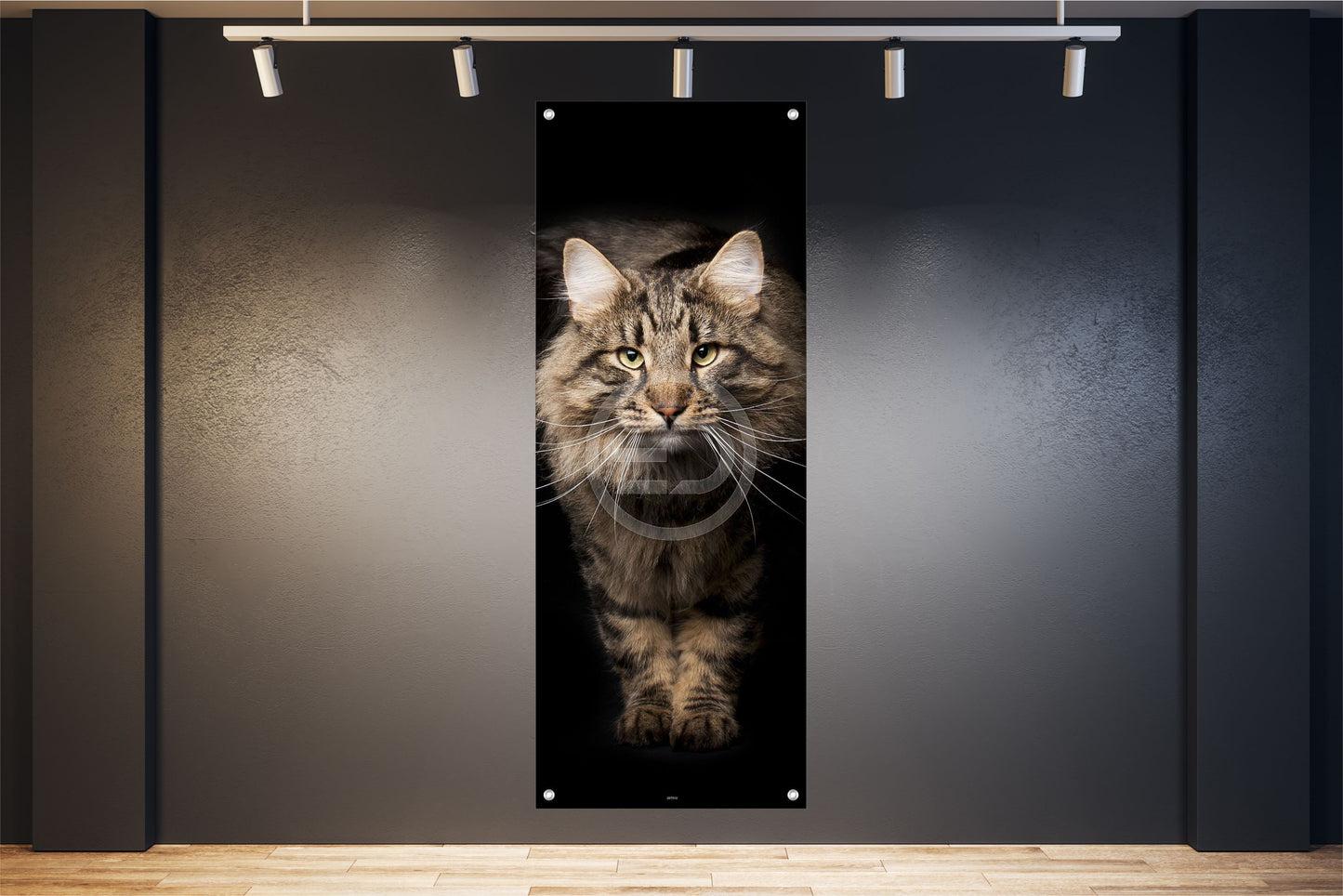 WANDBILD POSTER BILDER XXL 60x160 TIER KATZE KATER GETIGERT INNEN AUSSEN