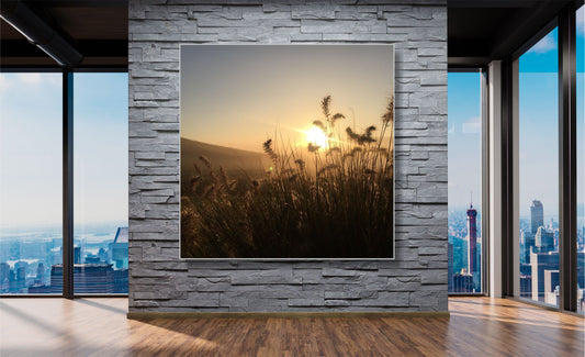 WANDBILDER ALURAHMEN NATUR BILDER WOHNZIMMER 150x150 PFLANZEN SONNE