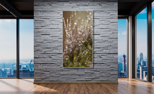 WANDBILDER MIT RAHMEN NATUR BILDER XXL MODERN WOHNZIMMER TAUTROPFEN