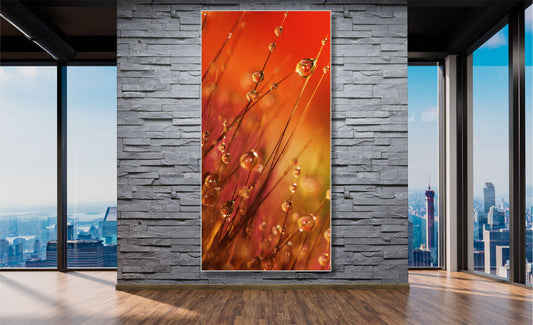 WANDBILDER ALURAHMEN XXL NATUR BILDER 100x200 WOHNZIMMER TAUTROPFEN