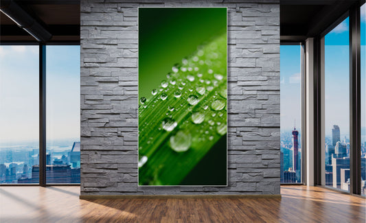 WANDBILDER MIT RAHMEN NATUR BILDER XXL MODERN WOHNZIMMER GRAS TROPFEN