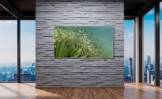 WANDBILDER MIT RAHMEN NATUR BILDER XXL MODERN WOHNZIMMER PUSTEBLUME
