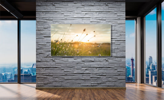 WANDBILDER MIT RAHMEN NATUR BILDER XXL MODERN WOHNZIMMER GRÄSER WIESE