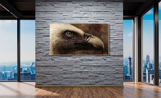 WANDBILDER MIT RAHMEN TIER BILDER XXL MODERN WOHNZIMMER ADLERKOPF