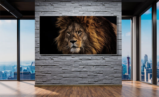 WANDBILDER MIT RAHMEN TIER BILDER XXL MODERN DEKO WOHNZIMMER LÖWE LION